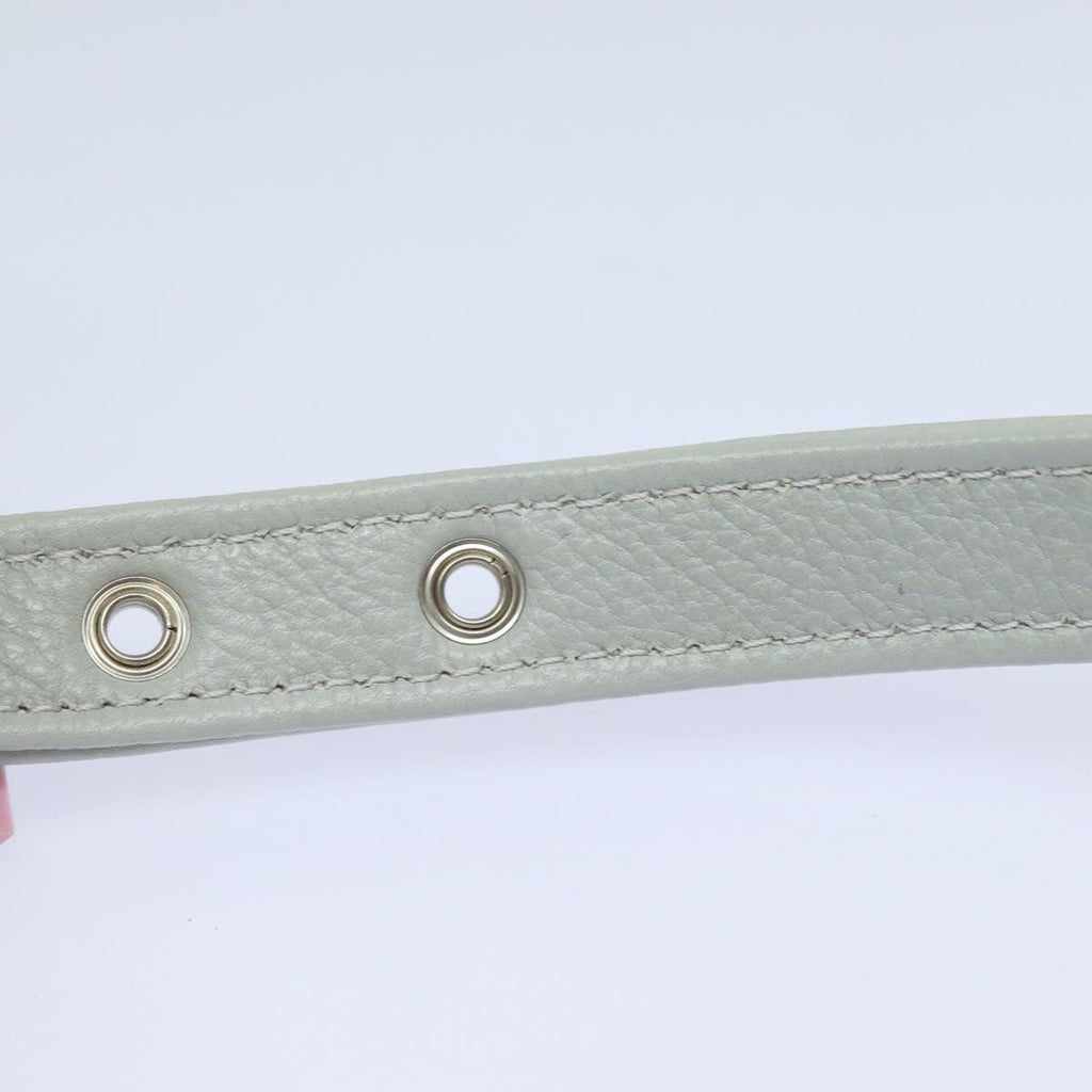 FENDI Mamma Baguette Shoulder Bag Nylon Grayac3139