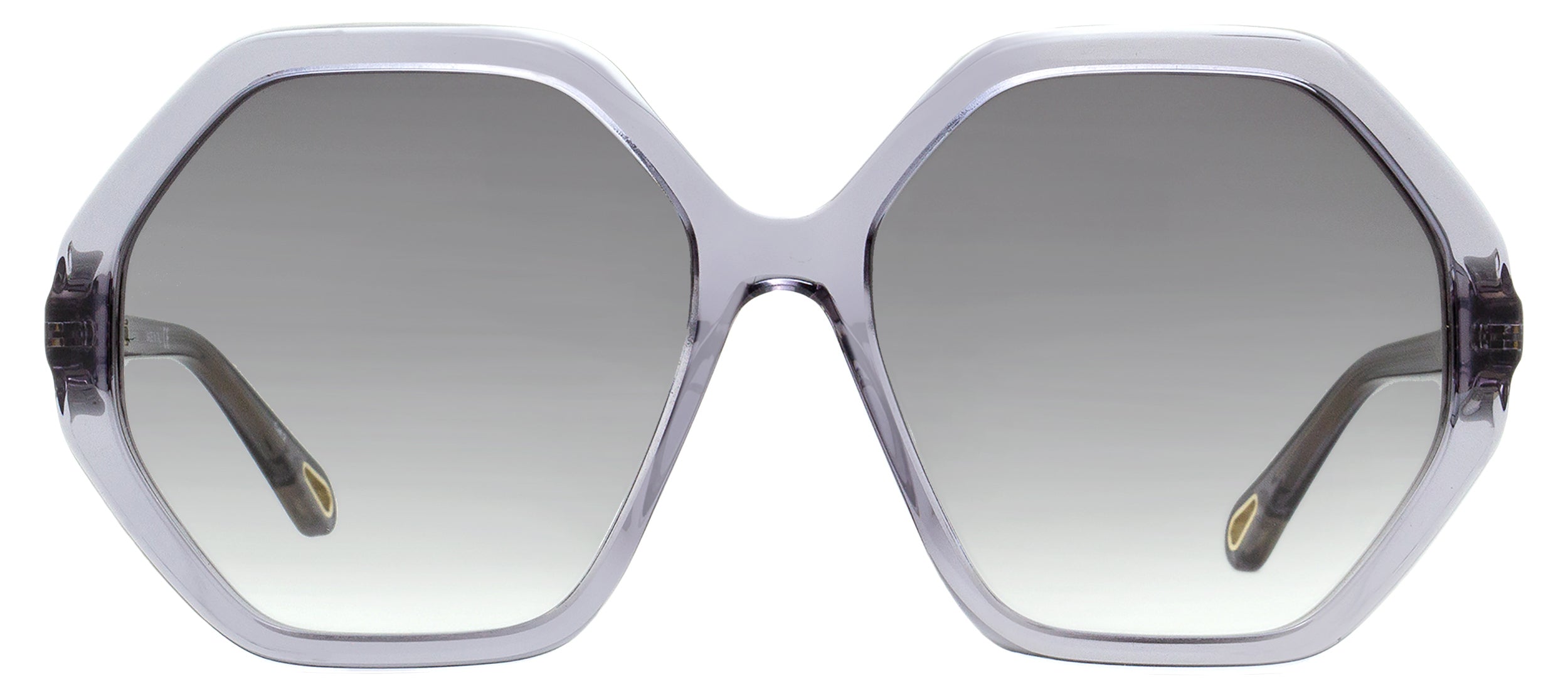 Chloe Women's Esther Sunglasses CH0008SA 003 Transparent Gray 58mm