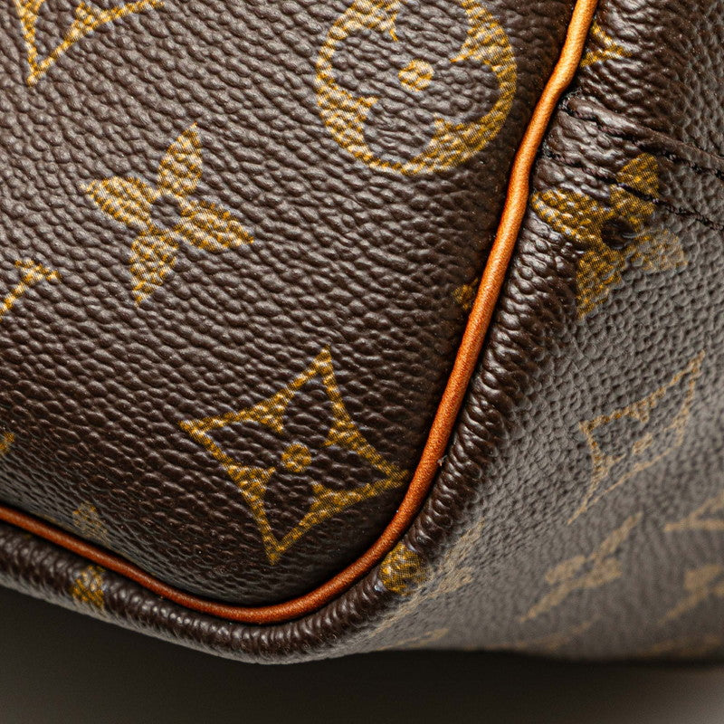 Louis Vuitton Monogram Handbag