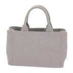 PRADA Canapa PM Hand Bag Canvas 2way Gray  am5703