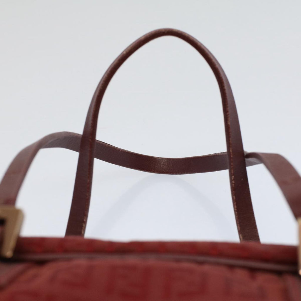 FENDI Zucchino Canvas Hand Bag Redar10594B