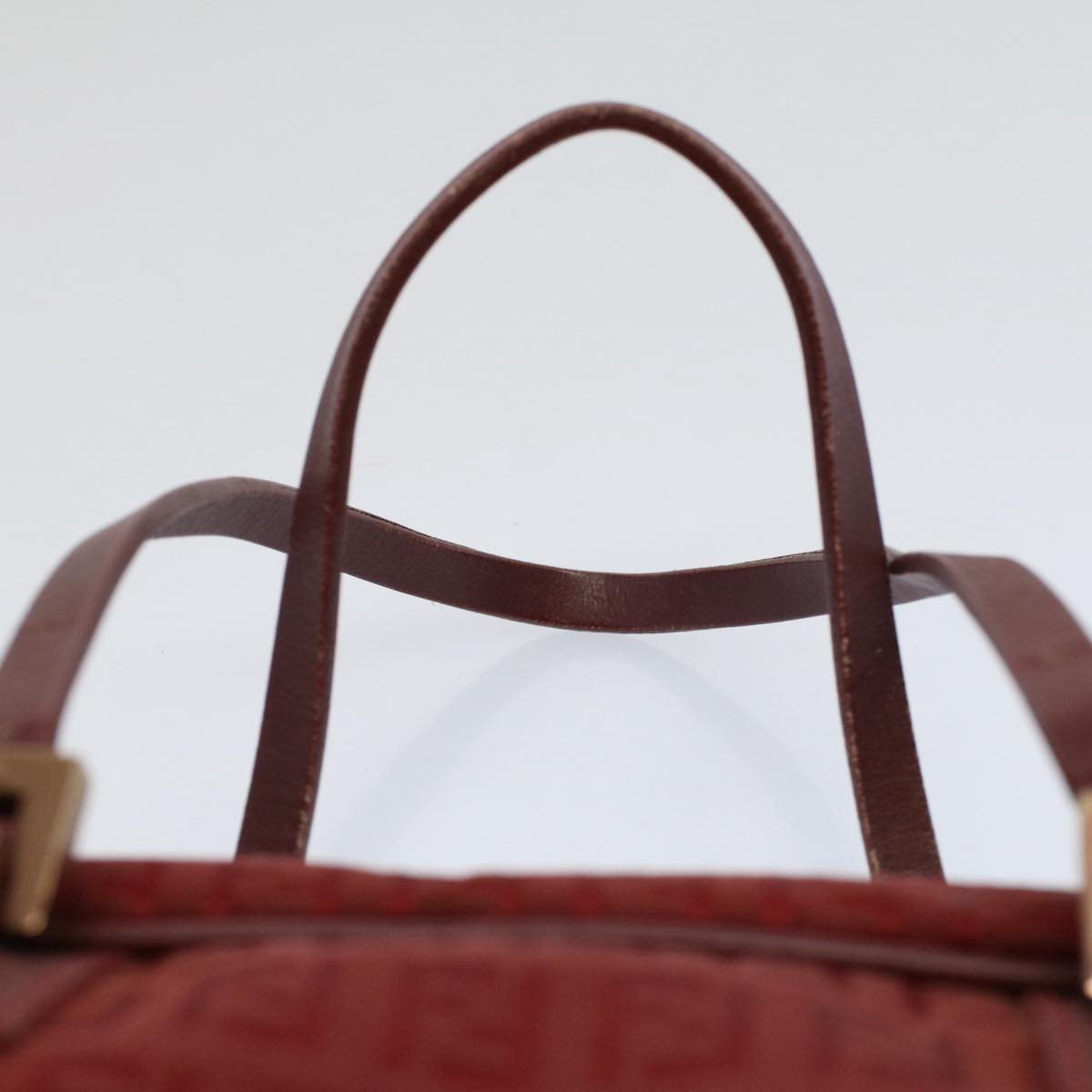 FENDI Zucchino Canvas Hand Bag Redar10594B