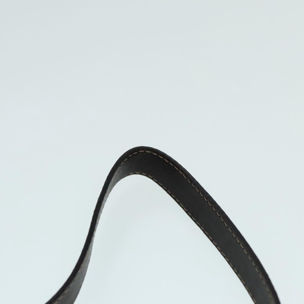 FENDI Zucchino Canvas Hand Bag Brown Goldar12553