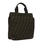 FENDI Zucca Canvas Hand Bag Brown Black Goldar12836