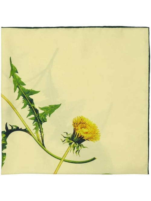 Burberry Dandelion floral print scarf 8082090