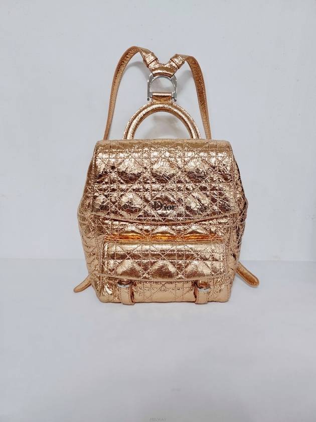 men backpack Dior