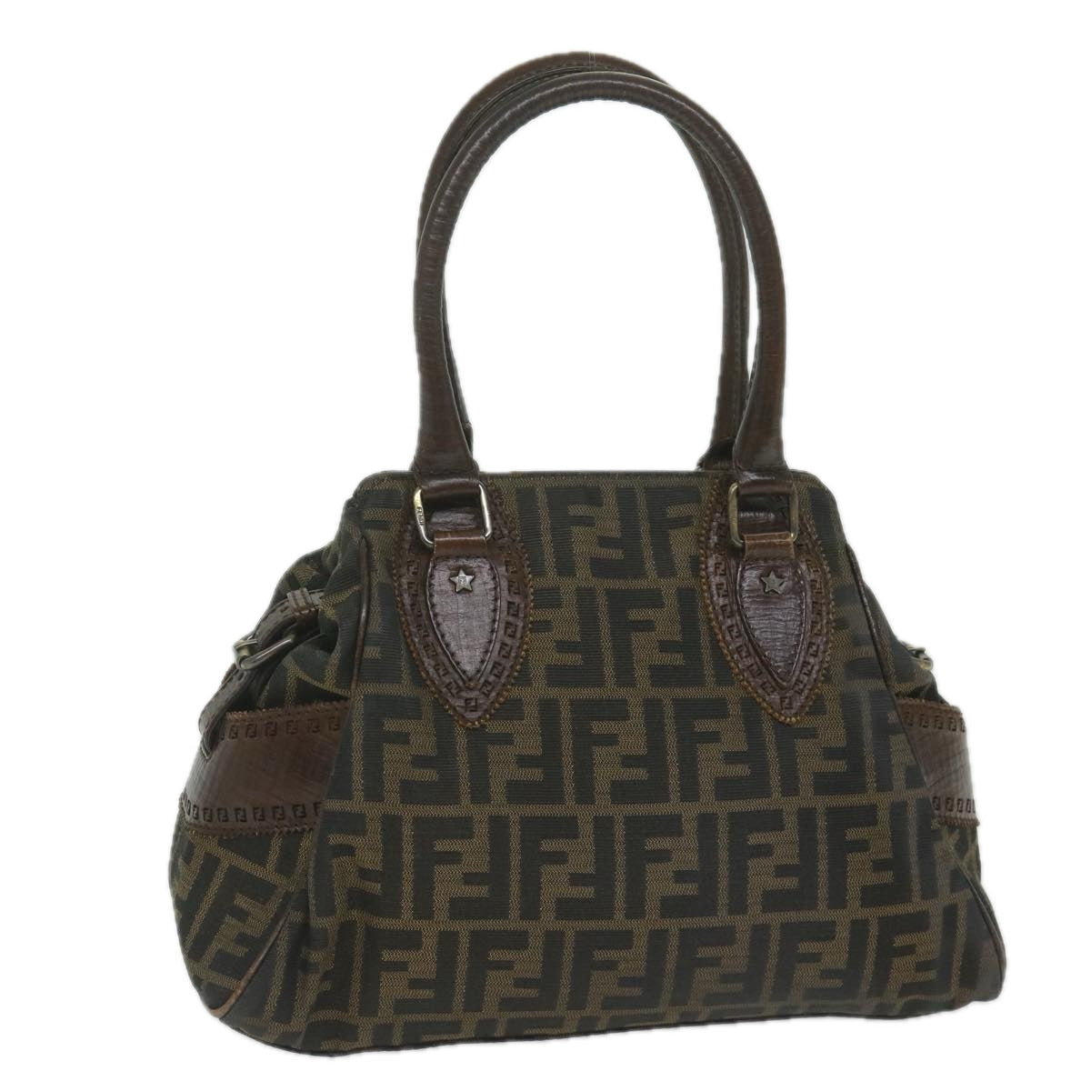 FENDI Zucca Canvas Hand Bag Black Brownbs10335