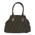 FENDI Zucca Canvas Hand Bag Black Brownbs10335