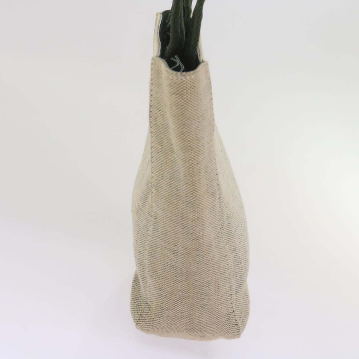 PRADA Sports Hand Bag Canvas Green Beige bs12012