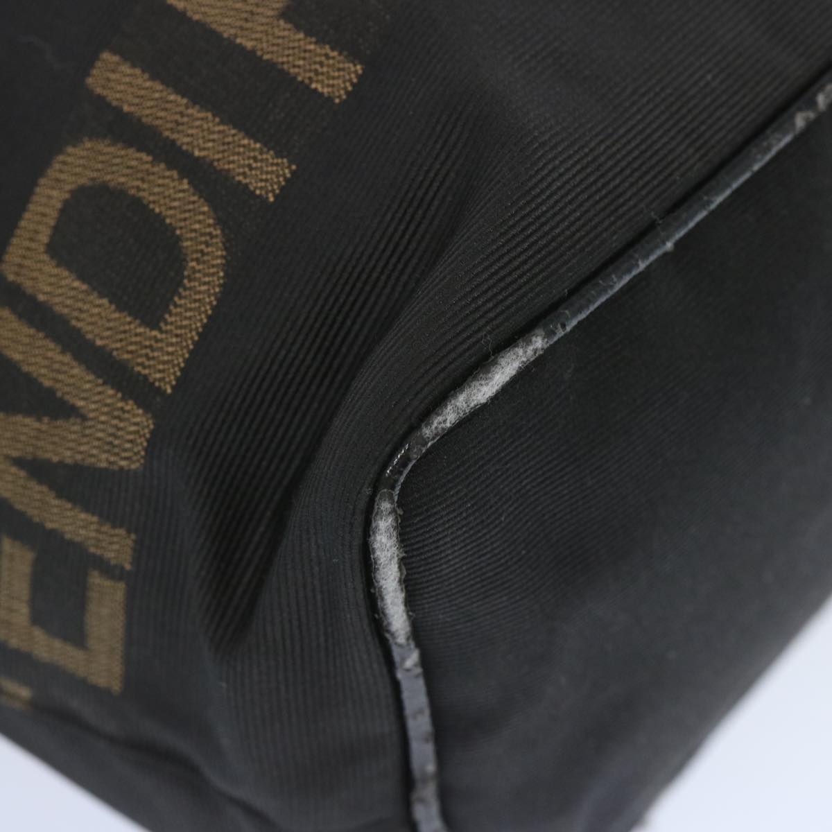 FENDI Hand Bag Canvas Blackbs12314