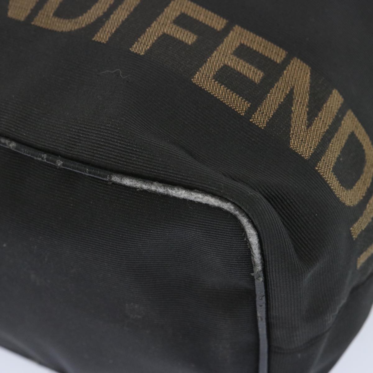 FENDI Hand Bag Canvas Blackbs12314