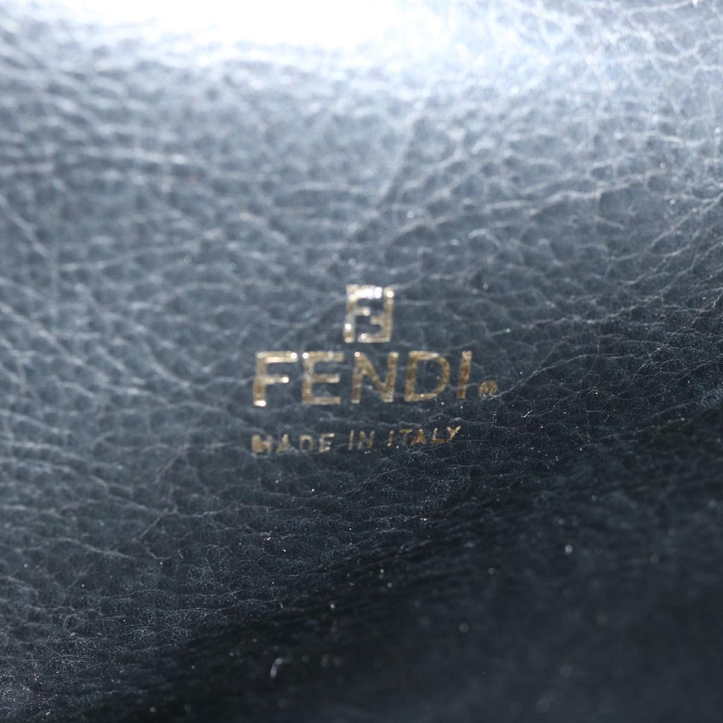 FENDI Pecan Canvas Clutch Bag Blackbs12935