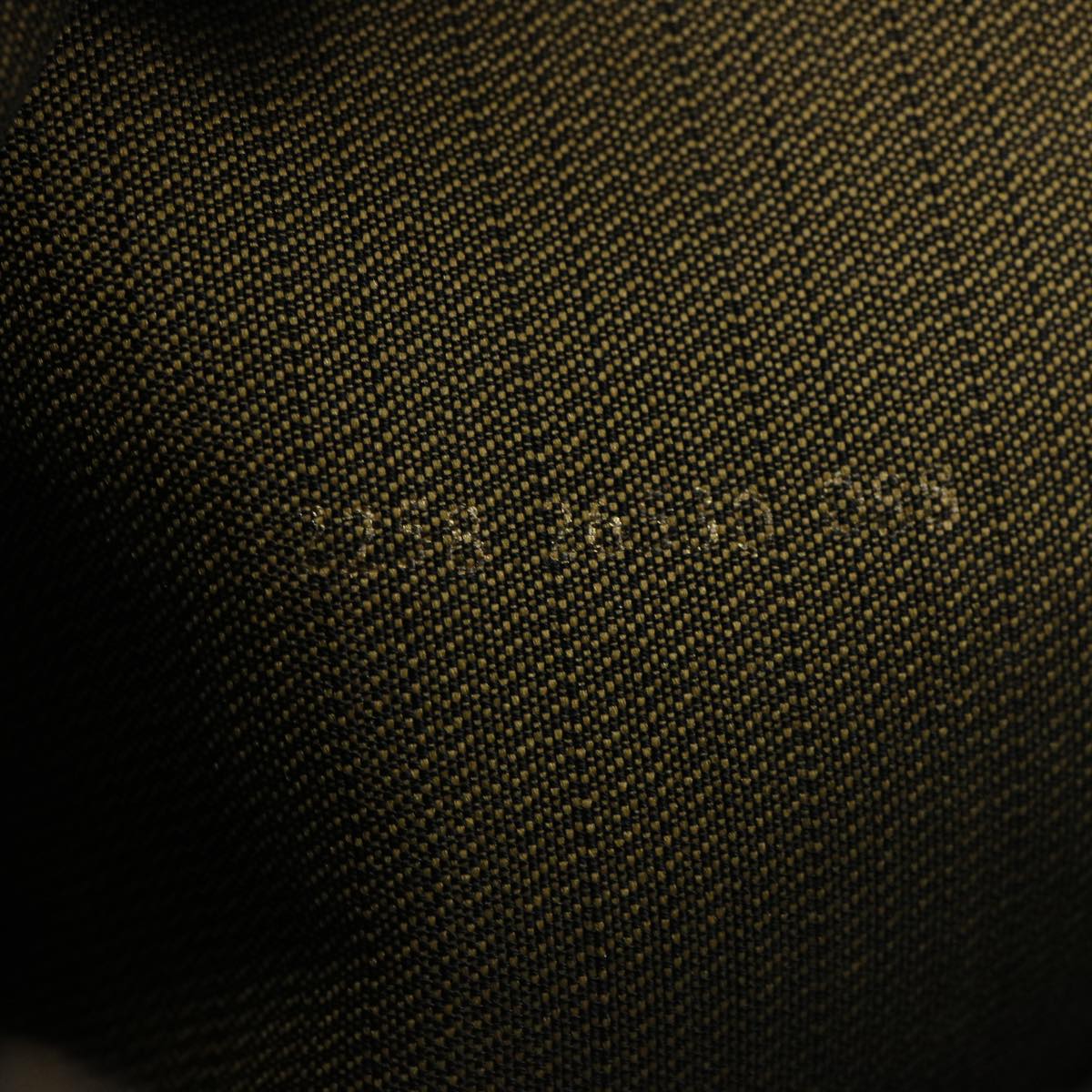 FENDI Zucca Canvas Hand Bag Brown Blackbs13299