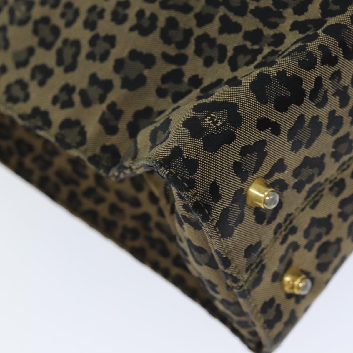 FENDI Leopard Hand Bag Canvas Brown Redbs14393
