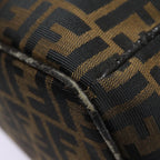 FENDI Zucca Canvas Vanity Hand Bag Brown Black goldbs17761
