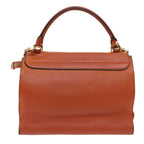 CELINE Shoulder Bag Leather 2way Orange  7869