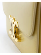 CELINE Teen Triomphe Shiny Calfskin Cross Bag Fallen