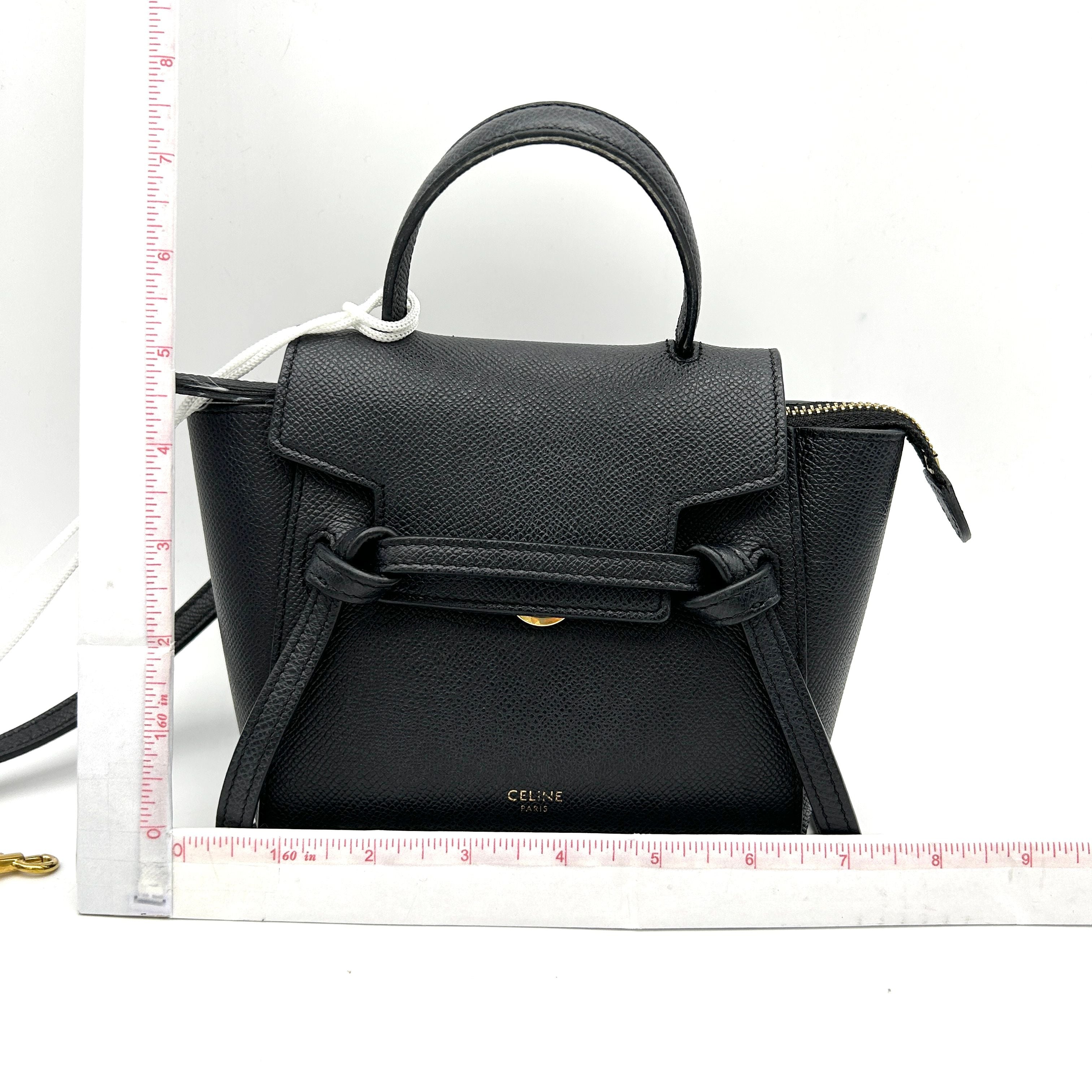CELINE Mini Grained Calfskin Pico Belt Bag Grey LA32963