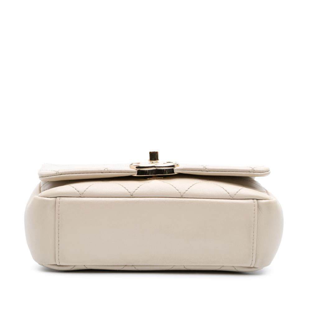 Brown Leather Chanel Flap Bag