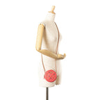 Pink Leather Chanel Crossbody Bag