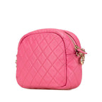 Pink Leather Chanel Crossbody Bag