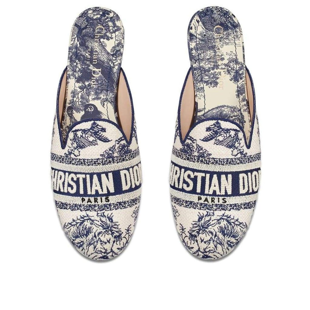 Dior Toile de Jouy Motif Flat Mules in Blue