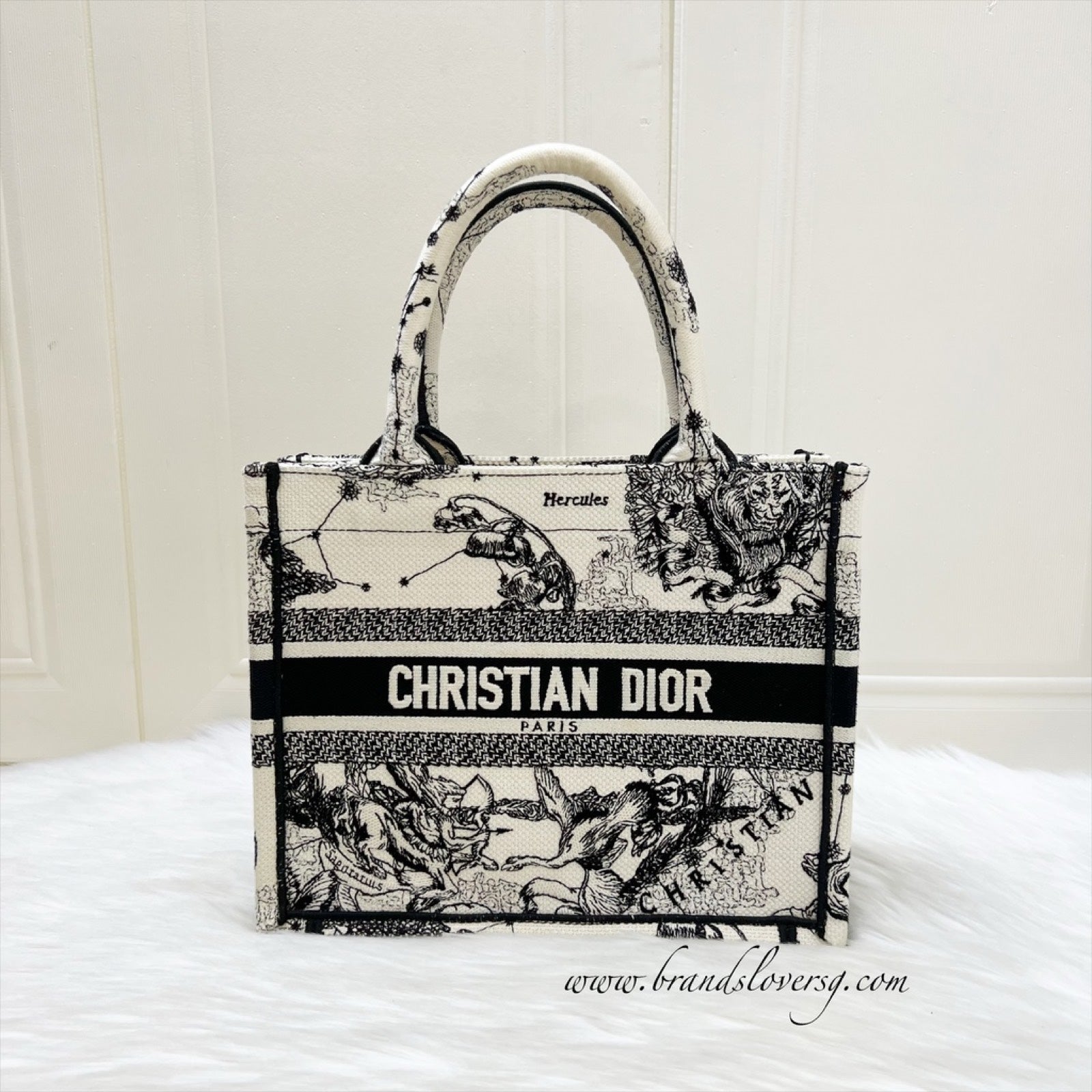 Dior Small Book Tote in Latte and Black Toile de Jouy Zodiac Embroidery