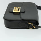 CELINE Horse Carriage Shoulder Bag Leather Black  ep1453