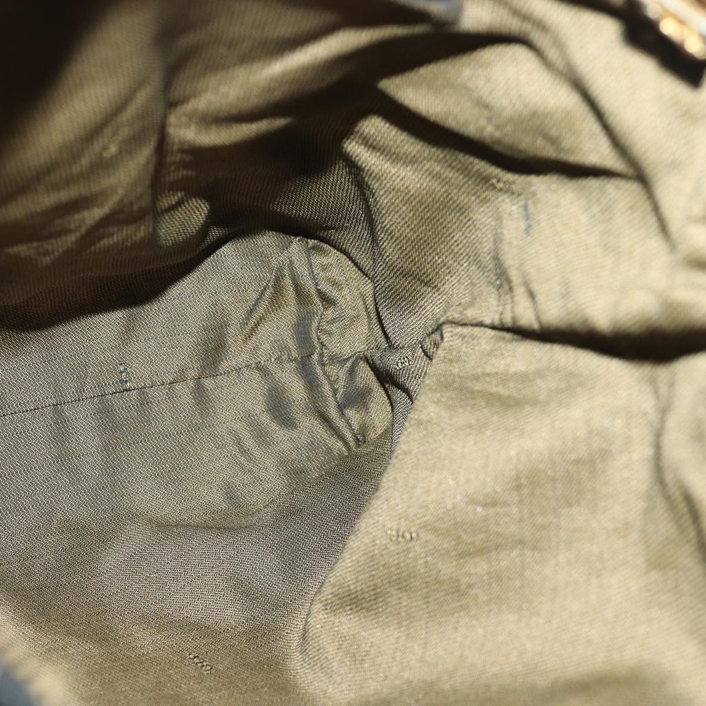 FENDI Zucca Canvas Hand Bag Brown Black goldep5077