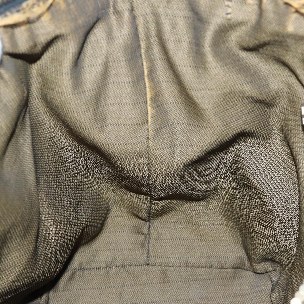 FENDI Zucca Canvas Vanity Bag Brown Black goldep5316