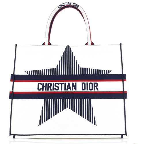 Dior Dioralps Book Tote Embroidered Canvas Large