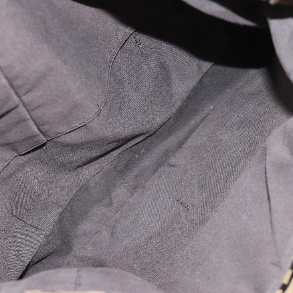 FENDI Zucca Canvas Chain Hand Bag Goldfm3589