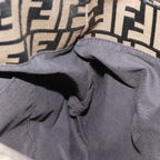 FENDI Zucca Canvas Chain Hand Bag Goldfm3589