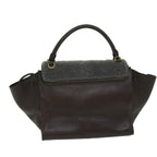 CELINE Trapeze Hand Bag Leather 2way Brown  hk1137
