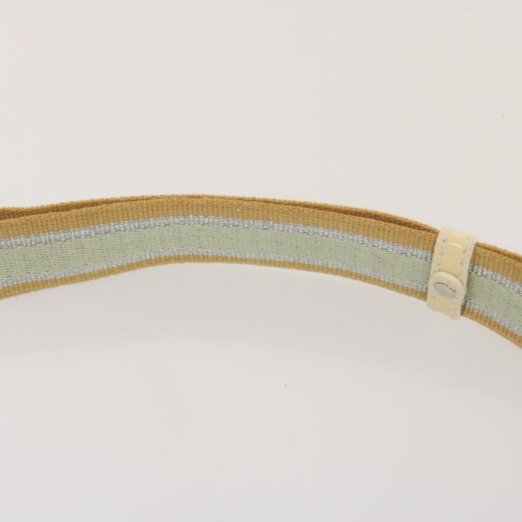 FENDI Zucchino Canvas Shoulder Bag Nylon Greenhk1304