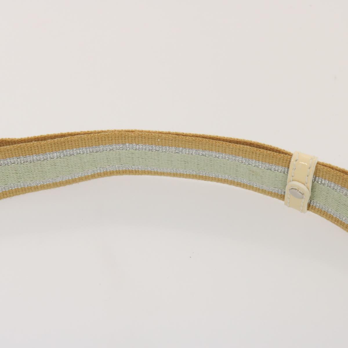 FENDI Zucchino Canvas Shoulder Bag Nylon Greenhk1304