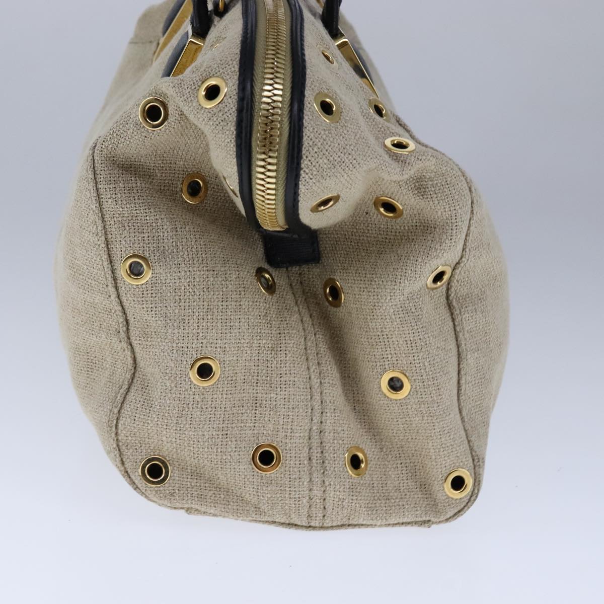 FENDI Chameleon Bag Hand Bag Canvas 2way Beigehk1927