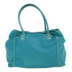 CELINE Shoulder Bag Leather Light Blue  im428