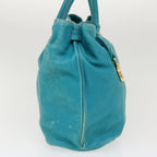 CELINE Shoulder Bag Leather Light Blue  im428
