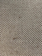 Chloe Bicolor Woody Medium Bag