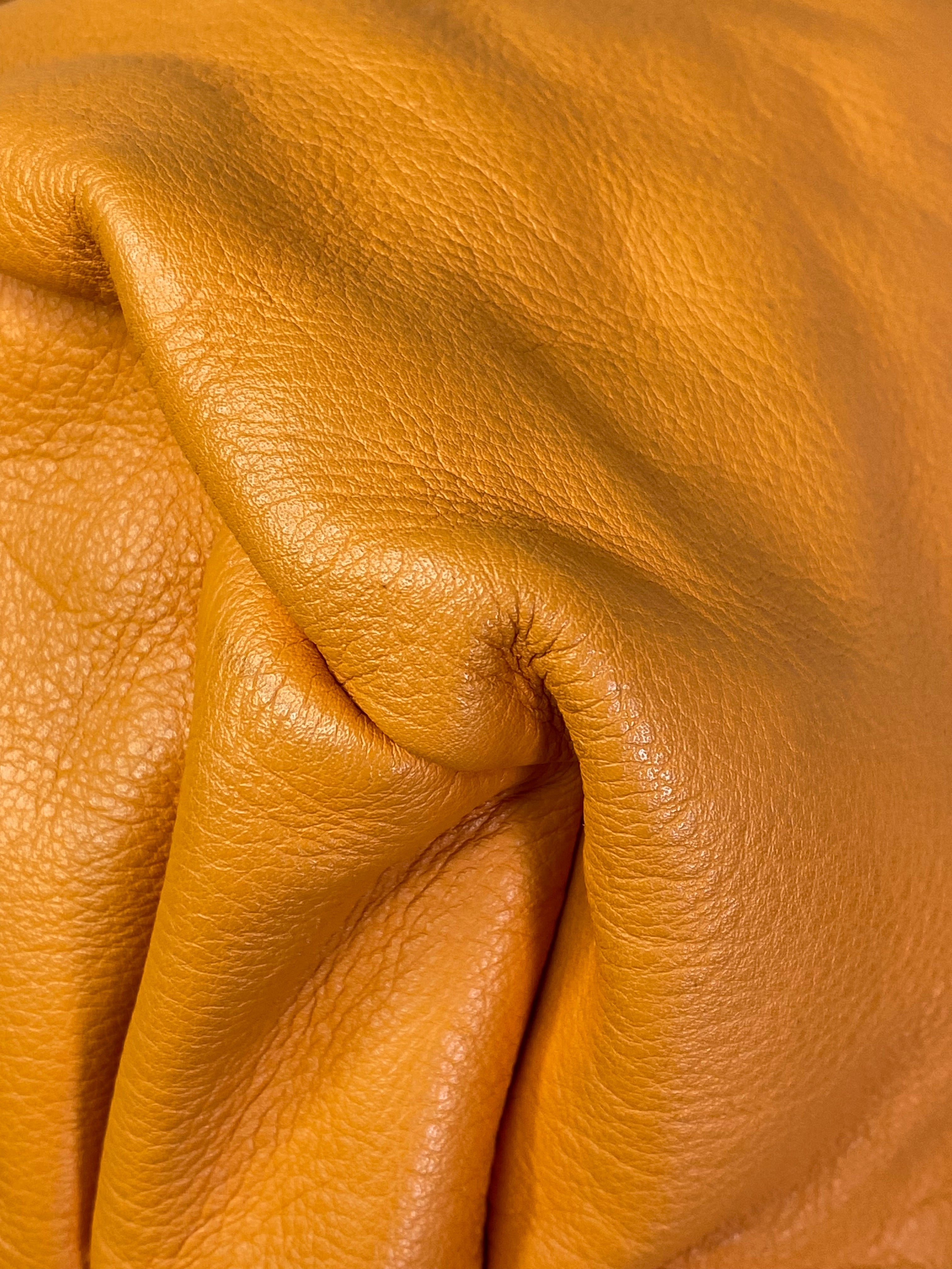 Bottega Veneta Orange Shoulder Pouch Bag