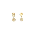 Dior CD star Earrings