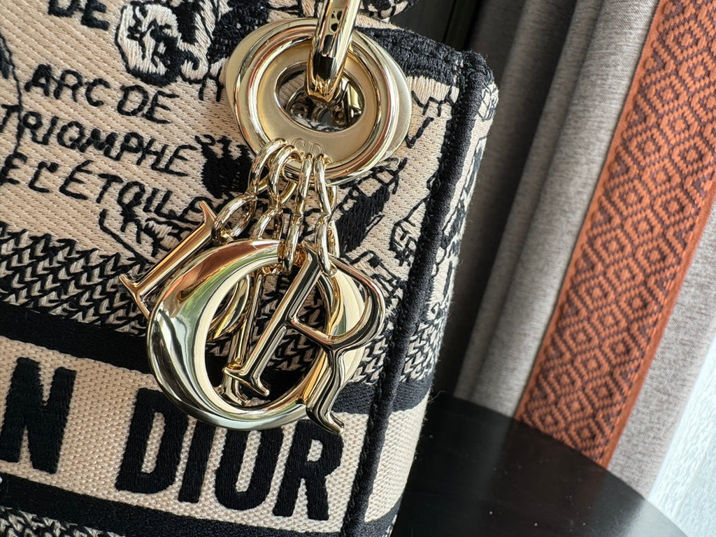 DIOR mini 17cm black pink embroidery canvas