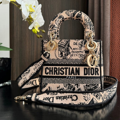 DIOR mini 17cm black pink embroidery canvas