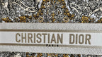 DIOR Book Tote 36.5 Beige White Canvas Around The World