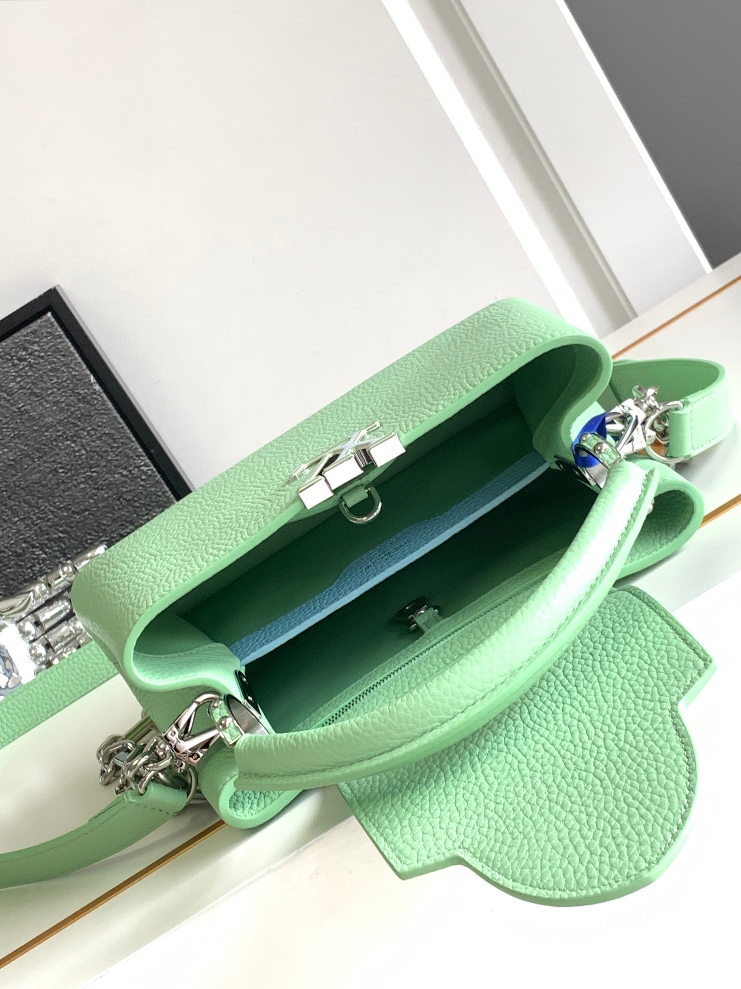 Louis Vuitton CAPUCINES BB 27 IN LIGHT GREEN TAURILLON SILVER HARDWARE