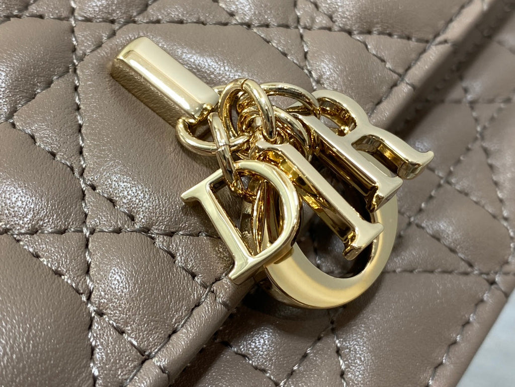 DIOR my mini 21 dark brown lambskin