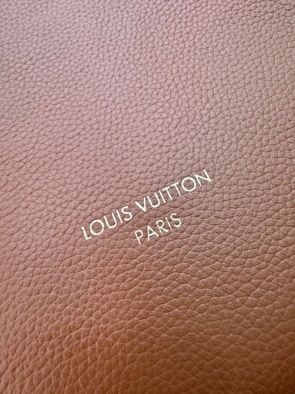 Louis Vuitton LOW KEY HOBO MM 31CM BROWN CALFSKIN