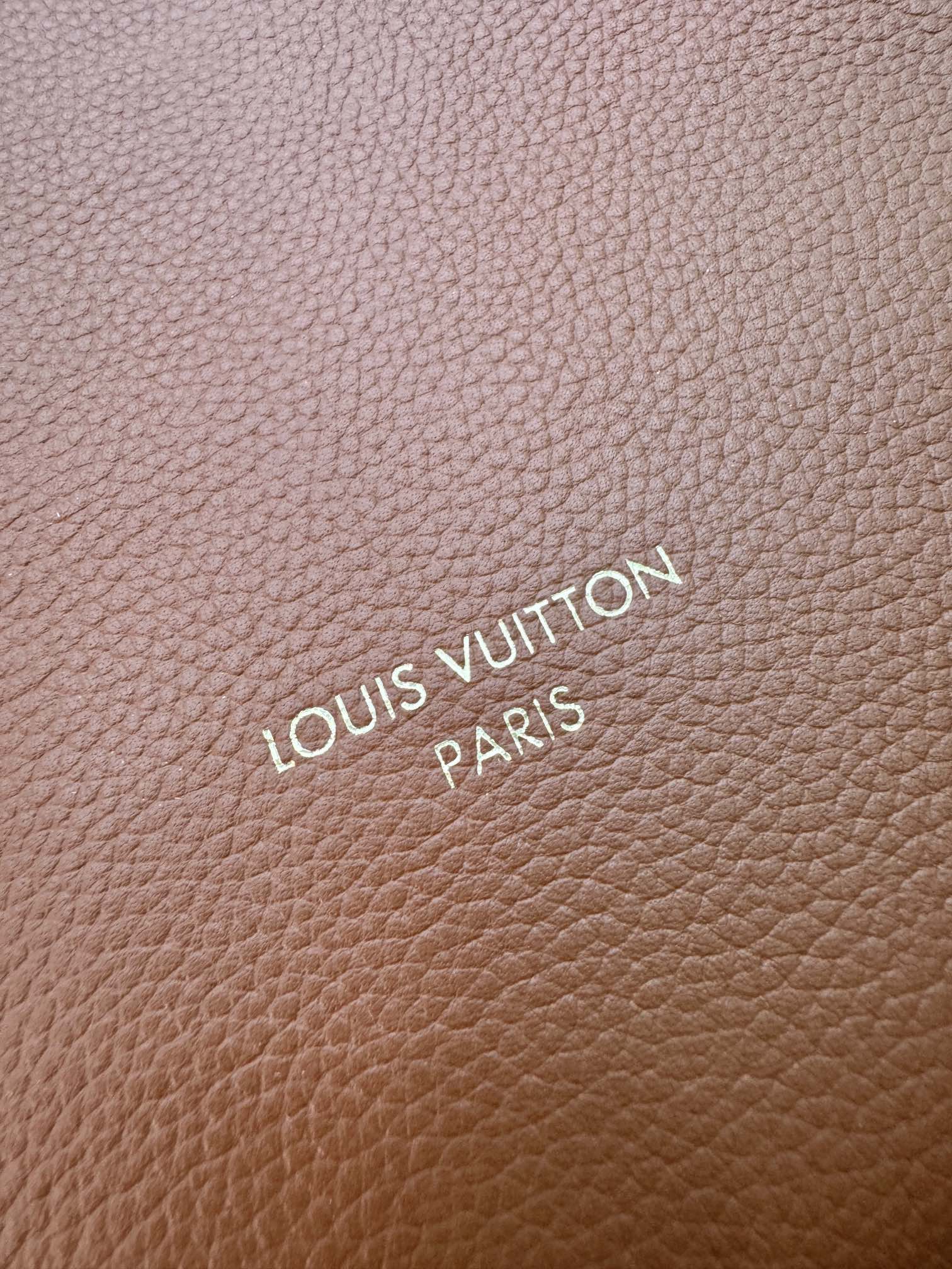 Louis Vuitton LOW KEY HOBO MM 31CM BROWN CALFSKIN