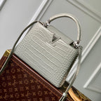 Louis Vuitton CAPUCINES BB 27 GREY TAURILLON SILVER HARDWARE